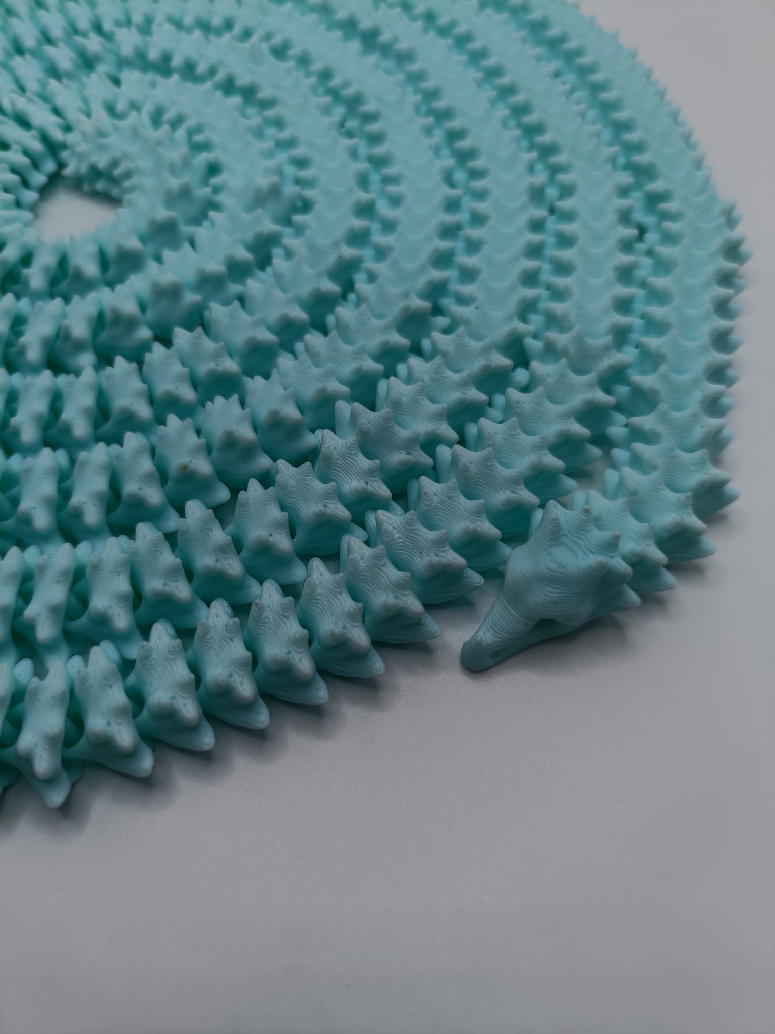 Spiral Dragon Snake