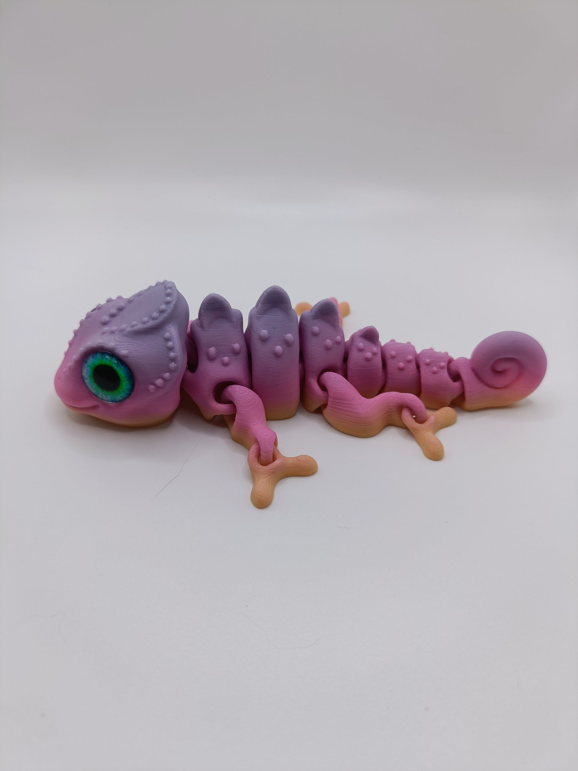 Salamandra Dragon