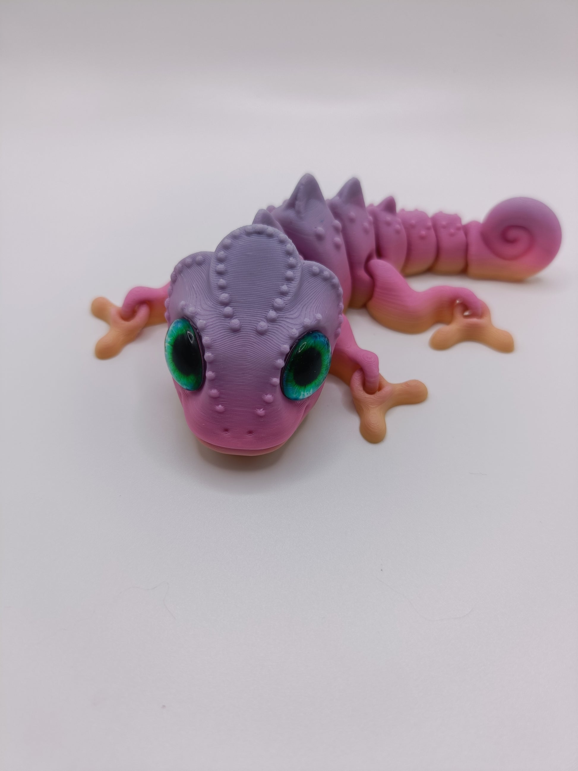 Salamandra Dragon