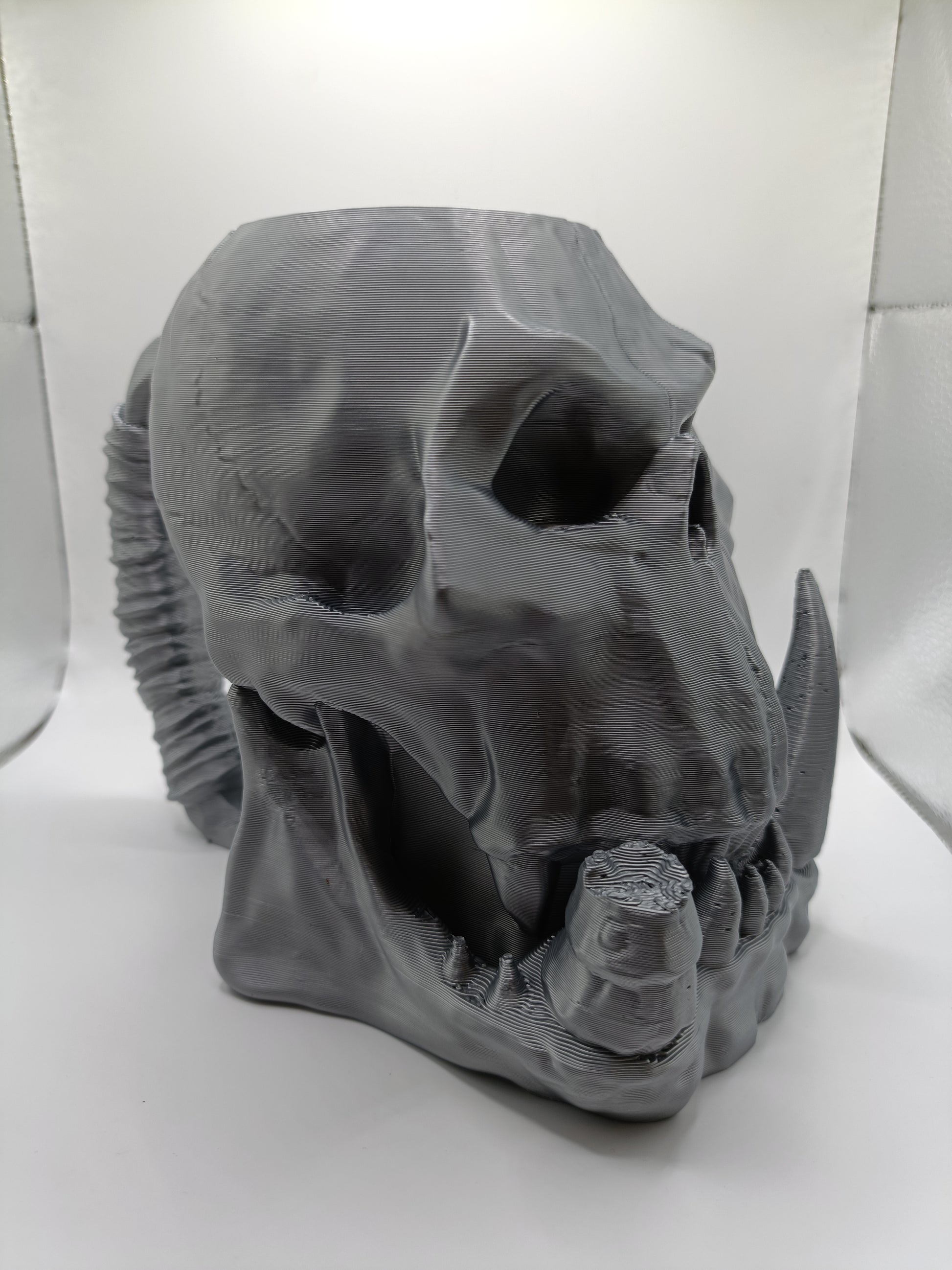 Cana 3D - Craniu Orc