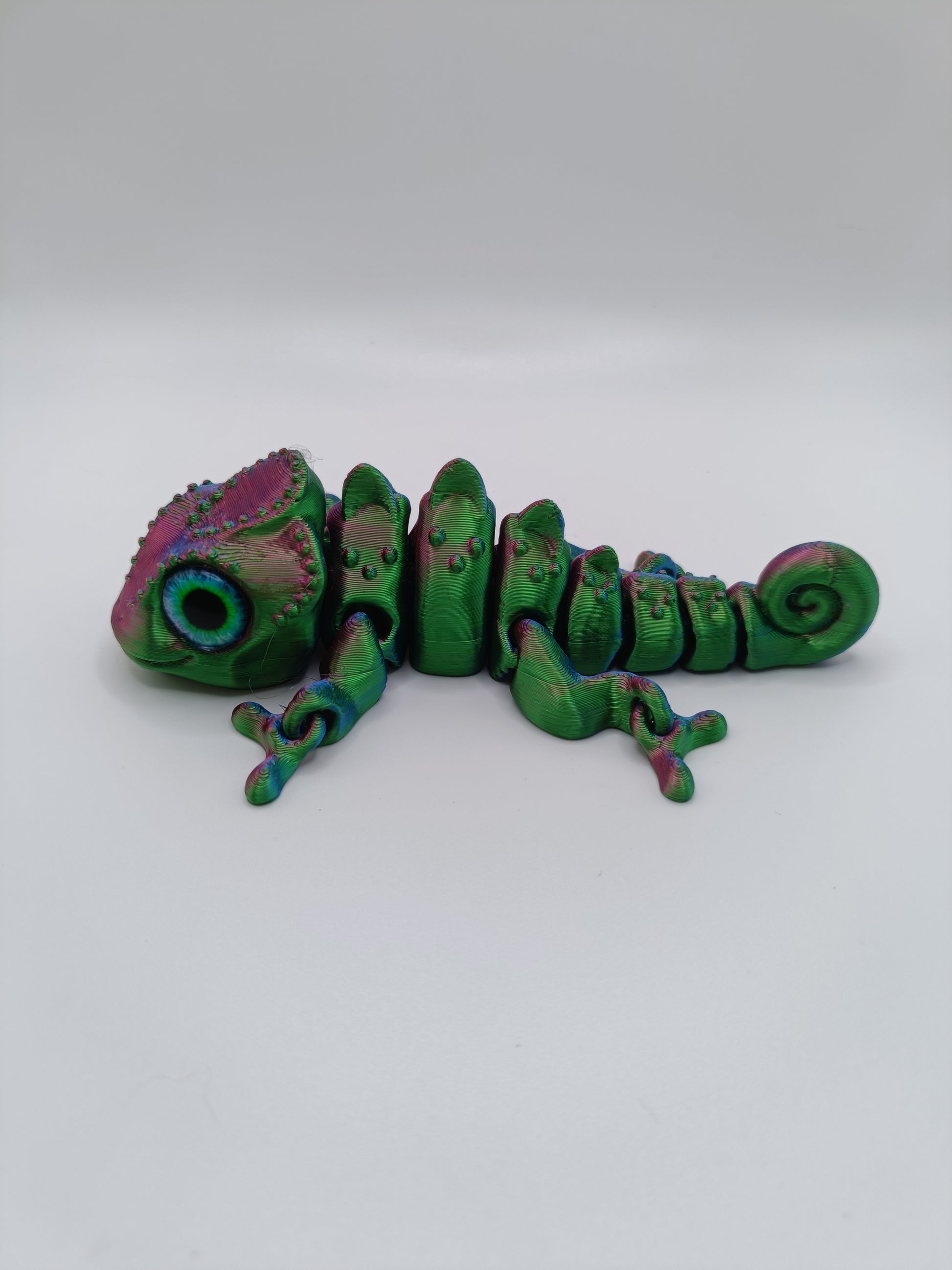 Salamandra Dragon