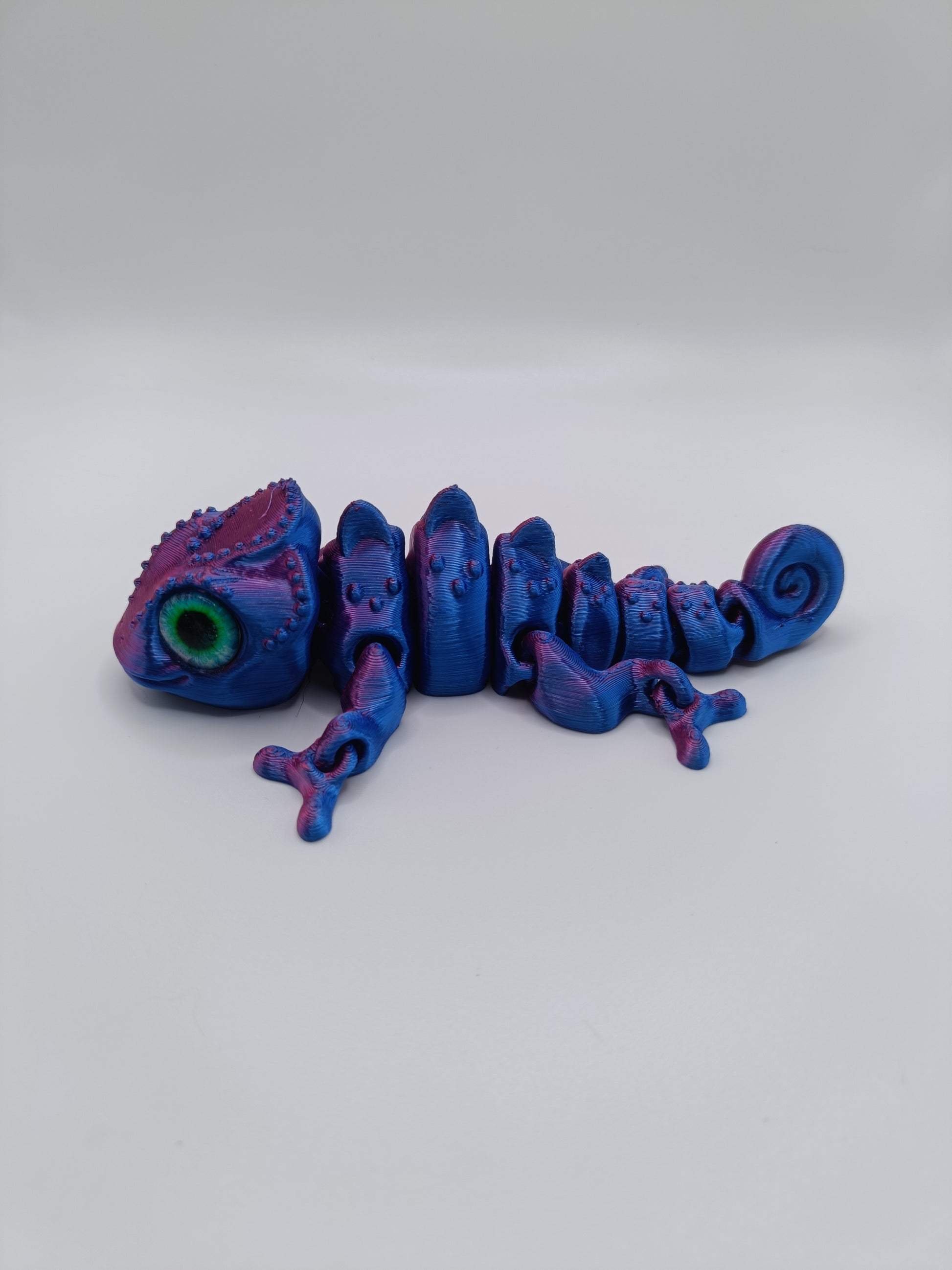 Salamandra Dragon